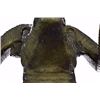 Image 7 : Detailed Wall Mount Rams Head Bronze Sculpture