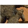 Image 5 : Bear with Cub Bronze Sculpture on marble base Figurine