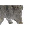 Image 6 : Chemin Boar animal edition Bronze Sculpture