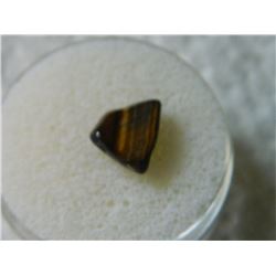 GEM STONE - TIGER'S EYE - POLISHED FREE FORM