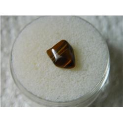 GEM STONE - TIGER'S EYE - POLISHED FREE FORM