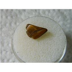 GEM STONE - TIGER'S EYE - POLISHED FREE FORM