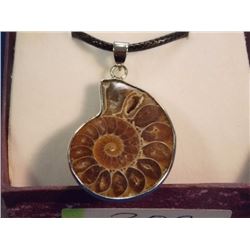 NECKLACE PENDANT - NEW POLISHED AMMONITE PENDANT IN STERLING SILVER SETTING