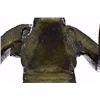 Image 7 : Detailed Wall Mount Rams Head Bronze Sculpture