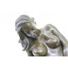 Image 8 : Chinese Guardian Lion Foo Dog Bronze Sculpture Marble Statue Figure