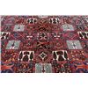 Image 3 : Beautiful traditional seasonal Bakhtiari tribal Rug