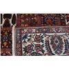 Image 6 : Beautiful traditional seasonal Bakhtiari tribal Rug