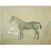 Image 1 : Carpendale (English, 19th Century) A Hunter in a Stable; and A Stabled Hunter signed lower left "Ca.