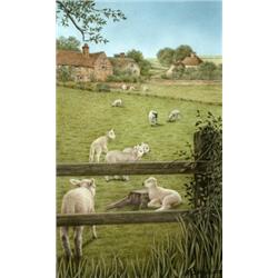 Sally Hynard (British, b.1959) Little Lamb in the Field with his Friends signed lower right "S A Hy.