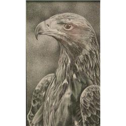 Sally Hynard (British, b.1959) A Golden Eagle signed lower right  "S A Hynard" pencil, 12 x 7cm £10.