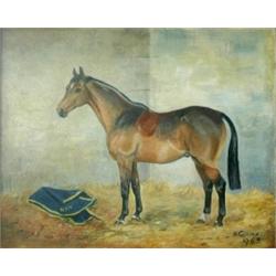 Heather Collins (20th Century) Marcus Aurelius, a Dark Bay Hunter in a Loose Box signed lower right.