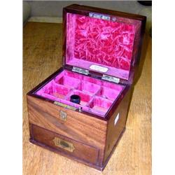 'Thomson, London', a mahogany domestic medicine box retailed by Savory and Moore, the lid opening o.