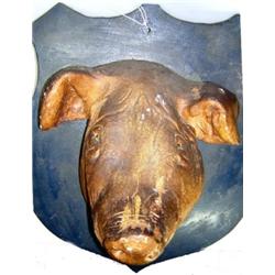 A painted plaster boar's head taken from life and mounted on a blue shield, 45cm high   £60-100...