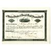 Image 1 : United States & Brazil Mail Steamship Co., 1891 Stock Certificate.