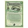 Image 1 : Niagara Falls Power Co., 1892 Specimen Bond