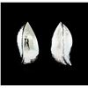 Image 1 : Leaf Shaped Brushed Stud Earrings - Rhodium Plated
