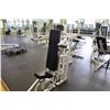 Image 2 : PARAMOUNT SHOULDER/ REAR DELT MACHINE