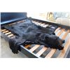 Image 2 : BLACK BEAR RUG