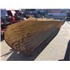 Image 2 : 12' YELLOW HEAVY DUTY SNOW PLOW