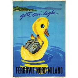  FERROVIE NORD MILANO, GITE SUI LAGHI