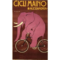  CICLI MAINO ALESSANDRIA
