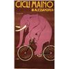Image 1 :  CICLI MAINO ALESSANDRIA