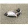 Image 1 : Duck Decoy