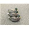 Image 1 : Duck Decoys