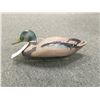 Image 1 : Duck Decoy