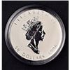 Image 3 : $50 (10 oz) 1998 Maple Leaf silver coin