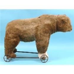An Early 20th Century Steiff Push-a-Long Bear, with hump back and pull cord growler (no working), on