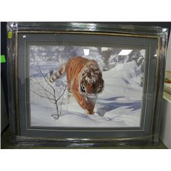 24540 NEW TIGER TIGER LIMITED EDITION PRINT(BY TERRY ISSAC