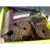 Image 1 : CRATE OF ROOFING COIL ROOFING NAILS