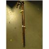 Image 1 : 3 WALKING CANES
