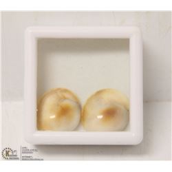 268) NATURAL SHIVA'S EYE TOTAL 20CT 2 PCS