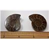 Image 1 : #15 - SET OF 2 AMMONITE SHELL FOSSILS
