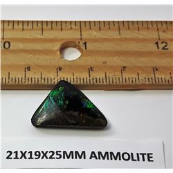 #18 - GREEN FIRE AMMOLITE GEMSTONE