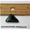 Image 1 : #18 - GREEN FIRE AMMOLITE GEMSTONE