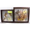 Image 1 : LOT OF 2 FRAMED BUTTERFLY SETTINGS