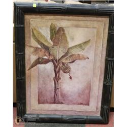 FRAMED BAMBOO PRINT SIGNED