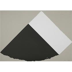 Ellsworth Kelly Dark Gray and White