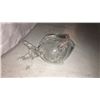 Image 1 : Glass Fish