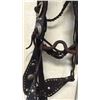 Image 4 : Antique Spotted Bridle