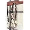 Image 1 : Silver & Rawhide Gallery Bridle Complete Bridle With Silver & Rawhide  Accents. Rawhide Romal And Re