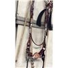 Image 8 : Silver & Rawhide Gallery Bridle Complete Bridle With Silver & Rawhide  Accents. Rawhide Romal And Re