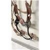 Image 4 : Silver Double Ear Bridle With Rawhide & Silver Reins Crockett Style Bit