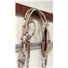 Image 5 : Silver Double Ear Bridle With Rawhide & Silver Reins Crockett Style Bit