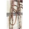 Image 6 : Leather & Rawhide Bridle With Crockett Style Bit