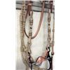 Image 7 : Leather & Rawhide Bridle With Crockett Style Bit