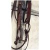 Image 7 : Spotted Martin Bridle With Spotted Snaffle Bit